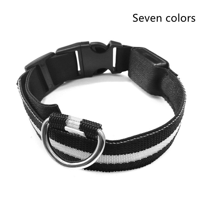 Luminous Night Safety Flashing Glow in the Dark Collar