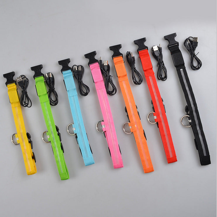 Luminous Night Safety Flashing Glow in the Dark Collar