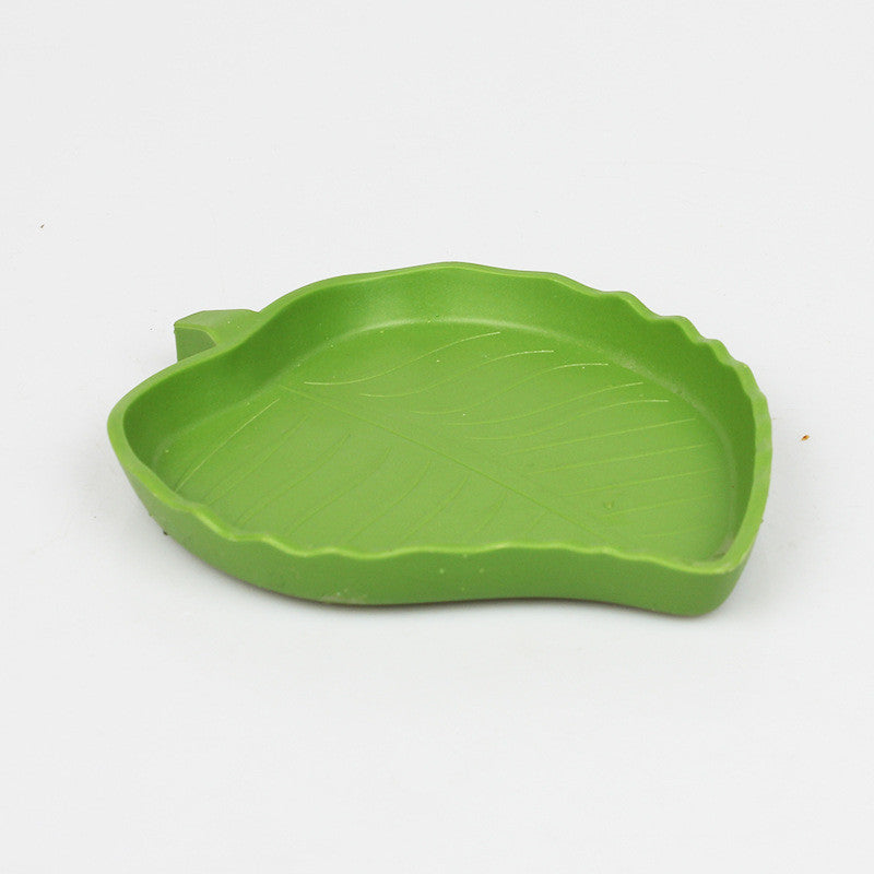 Leafy Food, Water Basin
