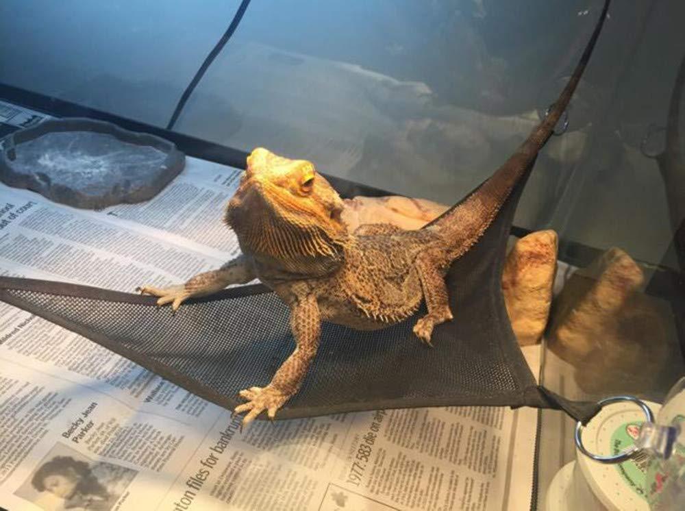 Reptile Hammock
