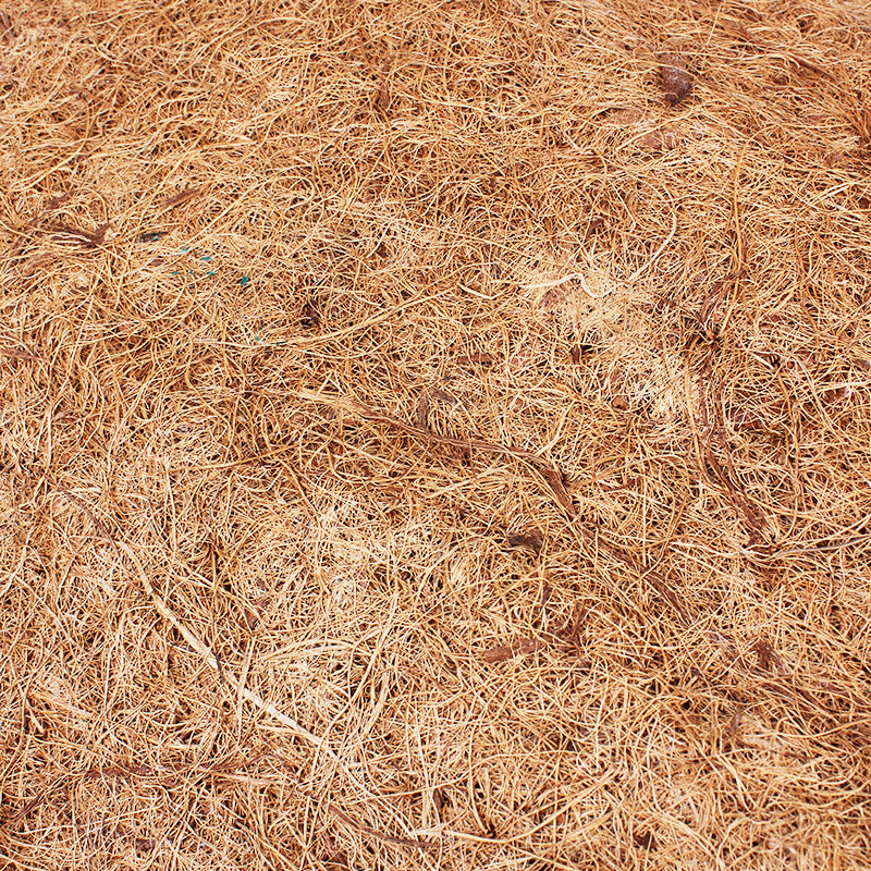 Coconut Palm Mat