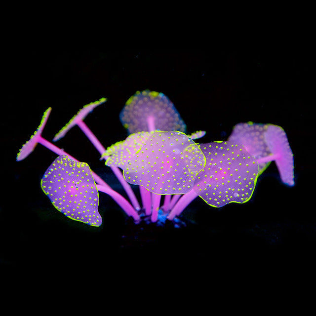 Silica Gel Aquarium For Artificial Aquarium Coral Plants