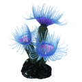 Simulation Of Coral Aquarium Aquarium Landscape Simulation Soft