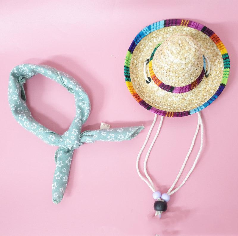 Summer Adventure Pet Accessory Set