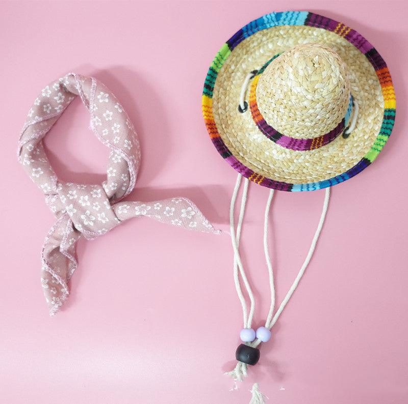 Summer Adventure Pet Accessory Set