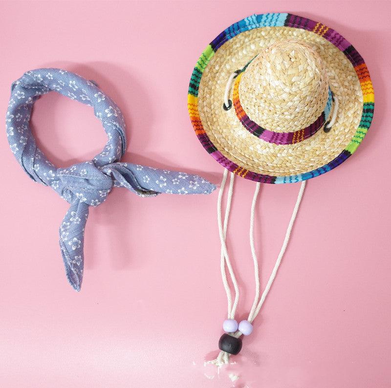 Summer Adventure Pet Accessory Set