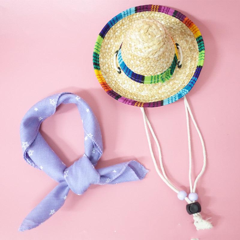 Summer Adventure Pet Accessory Set