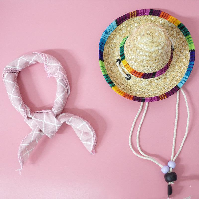 Summer Adventure Pet Accessory Set