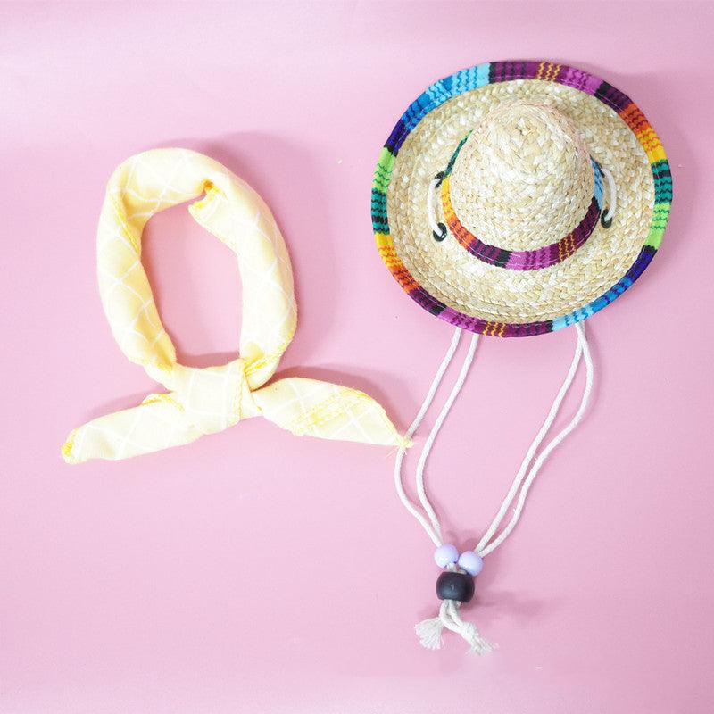 Summer Adventure Pet Accessory Set