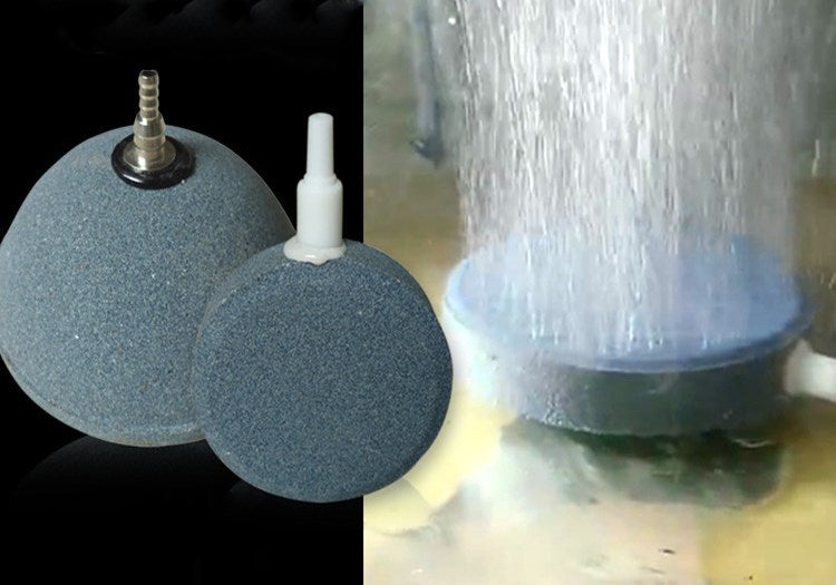 Aquarium Oxygenated Nanobubbles
