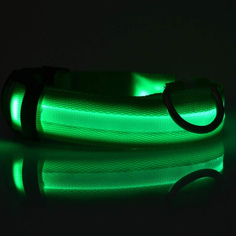 Luminous Night Safety Flashing Glow in the Dark Collar