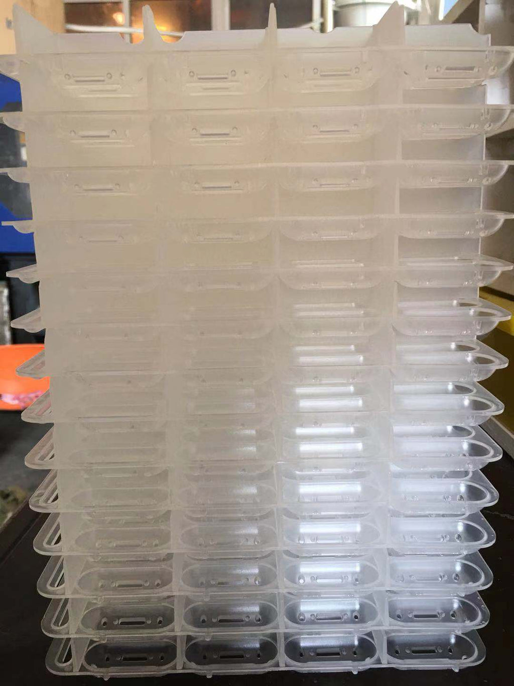 Reptile Hatching Egg Holder