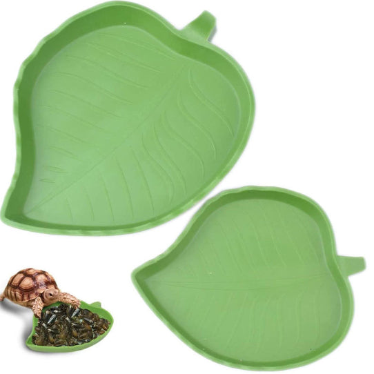 Leafy Food, Water Basin