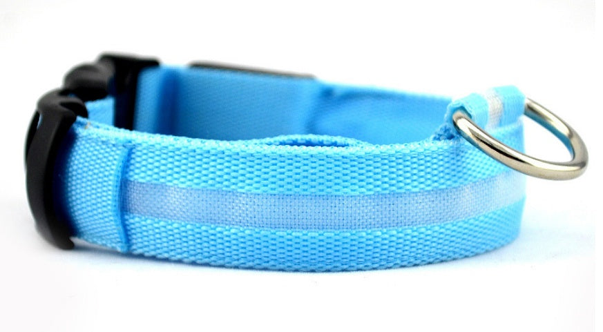 Luminous Night Safety Flashing Glow in the Dark Collar