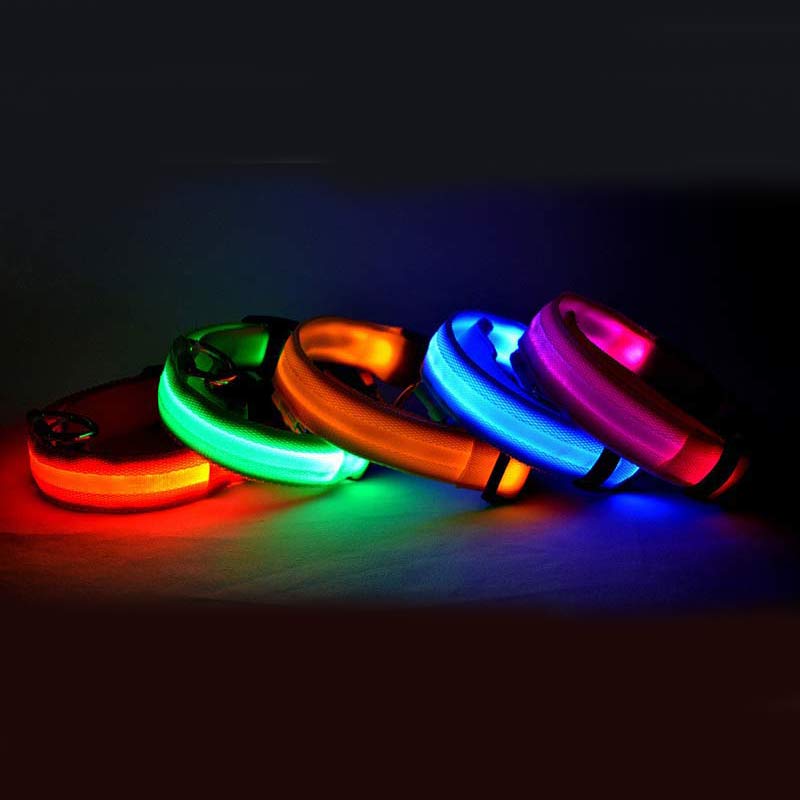 Luminous Night Safety Flashing Glow in the Dark Collar