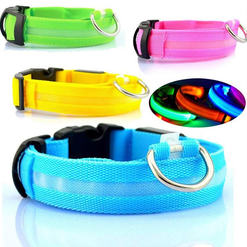 Luminous Night Safety Flashing Glow in the Dark Collar