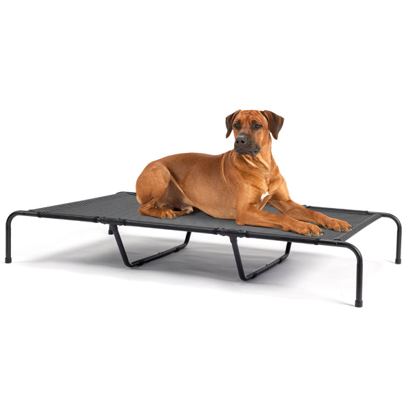Dog Cot