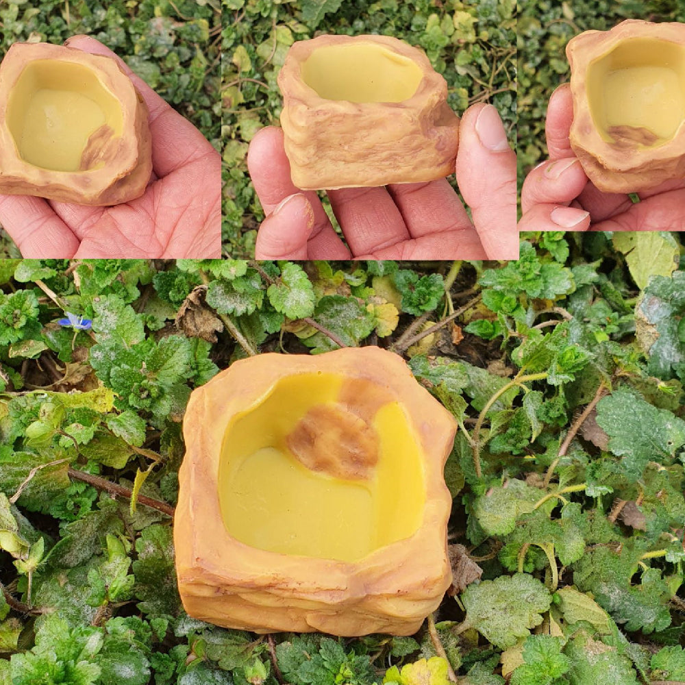 Reptile Drinking Basin