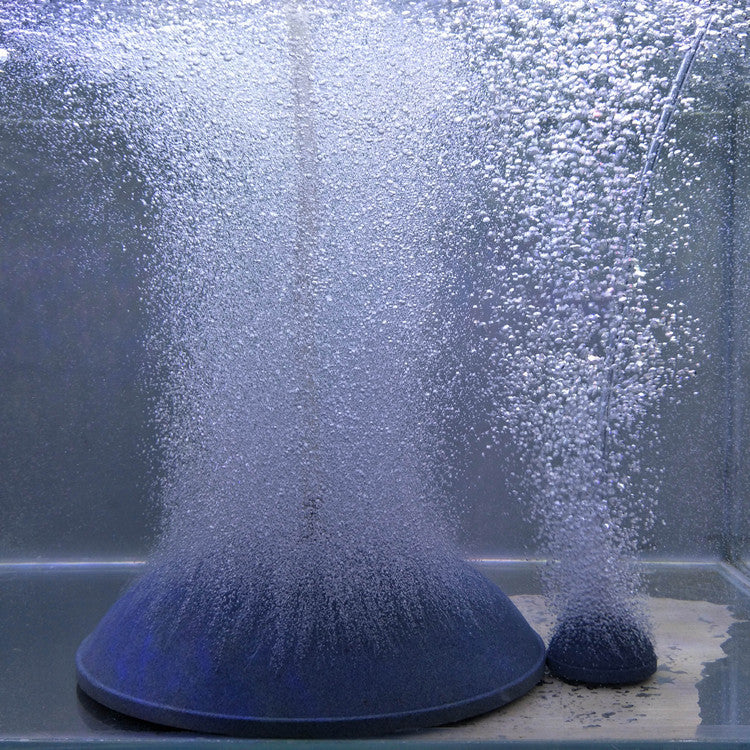 Aquarium Oxygenated Nanobubbles