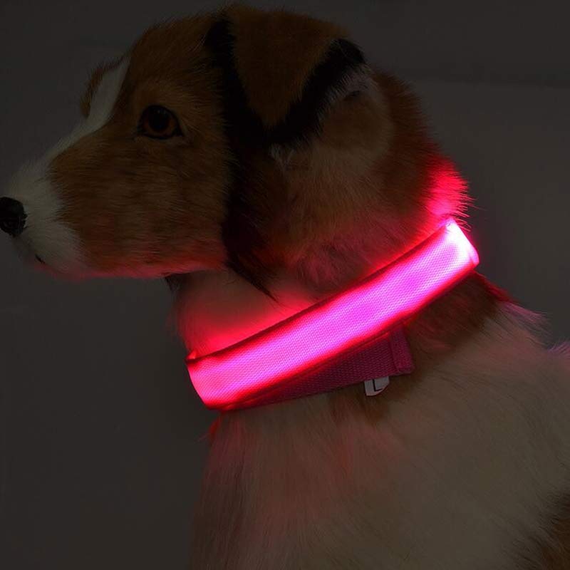 Luminous Night Safety Flashing Glow in the Dark Collar
