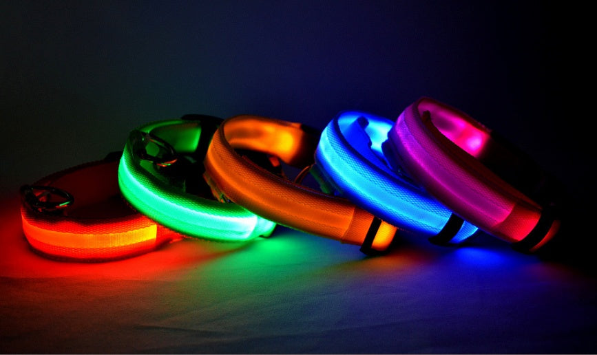 Luminous Night Safety Flashing Glow in the Dark Collar