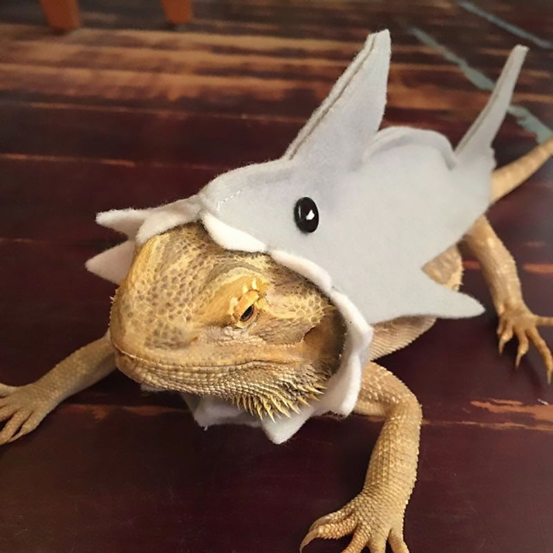 Lizard Felt Cloth Shark Pack Minipet Supplies