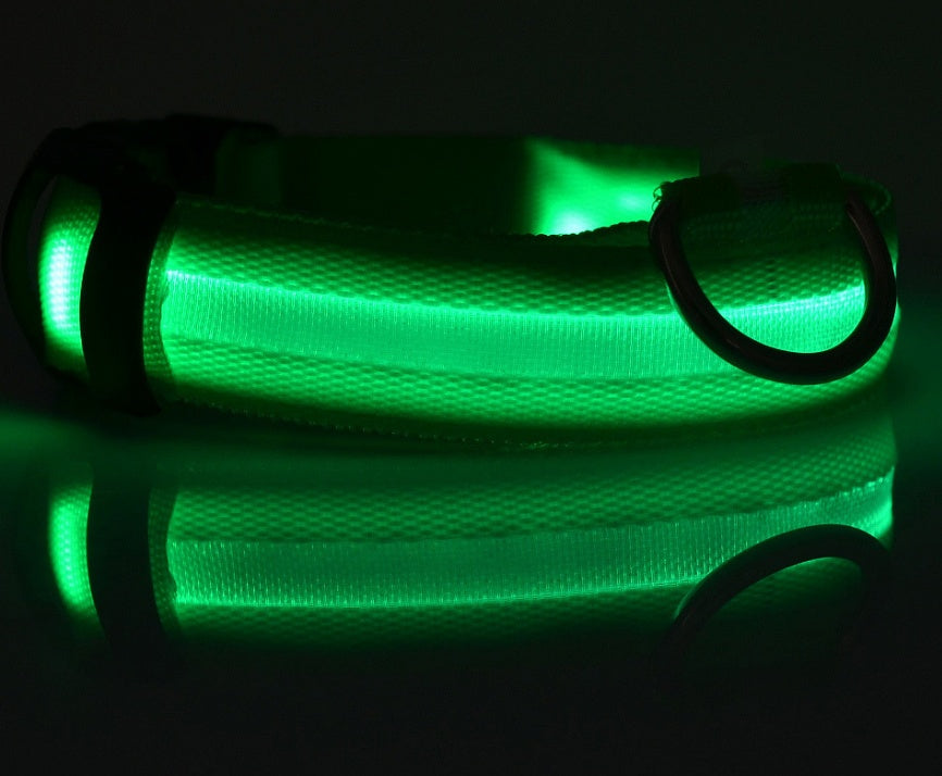 Luminous Night Safety Flashing Glow in the Dark Collar