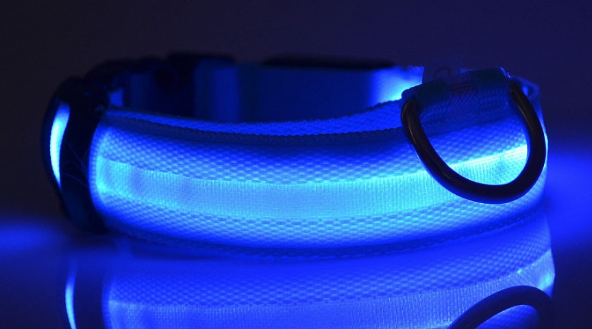 Luminous Night Safety Flashing Glow in the Dark Collar