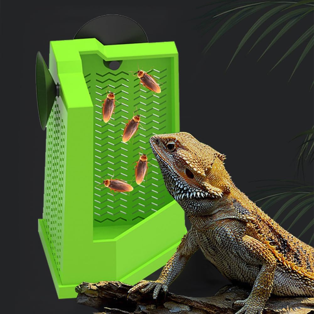 Bearded Dragon Feeder Corner Reptile Feeder Box Wall-Mounted Terrarium Feeder With Suction Cups For Lizard Iguana Gecko Bearded Dragon