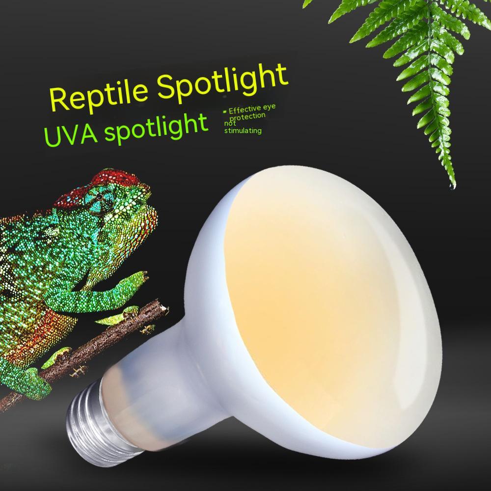 220V Pet Climbing Heating Turtle Lizard Day Light Heating Lamp