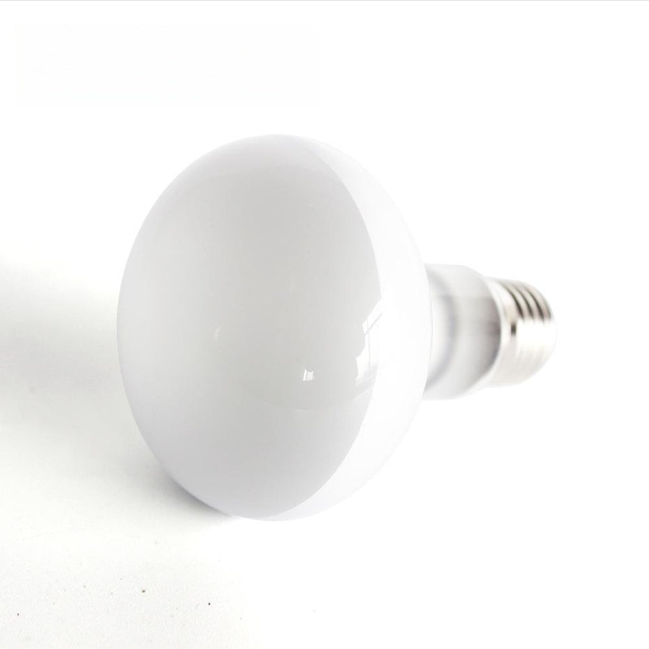 220V Pet Climbing Heating Turtle Lizard Day Light Heating Lamp