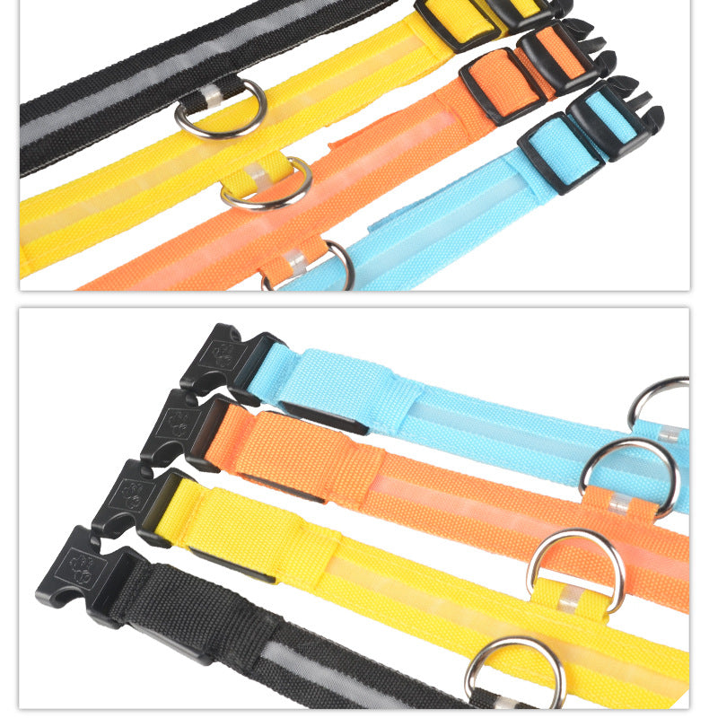 Luminous Night Safety Flashing Glow in the Dark Collar