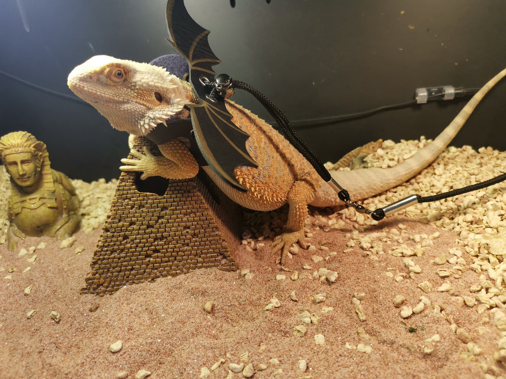 Lizard Pulling Rope Crawling Pet Out Leather Wings