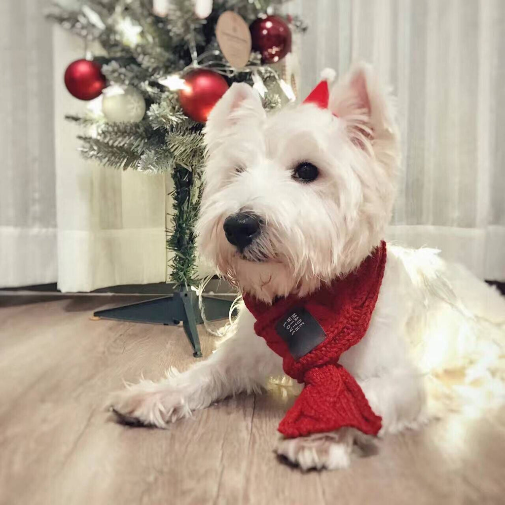 Cozy Pup Wrap - Scarf for Dogs
