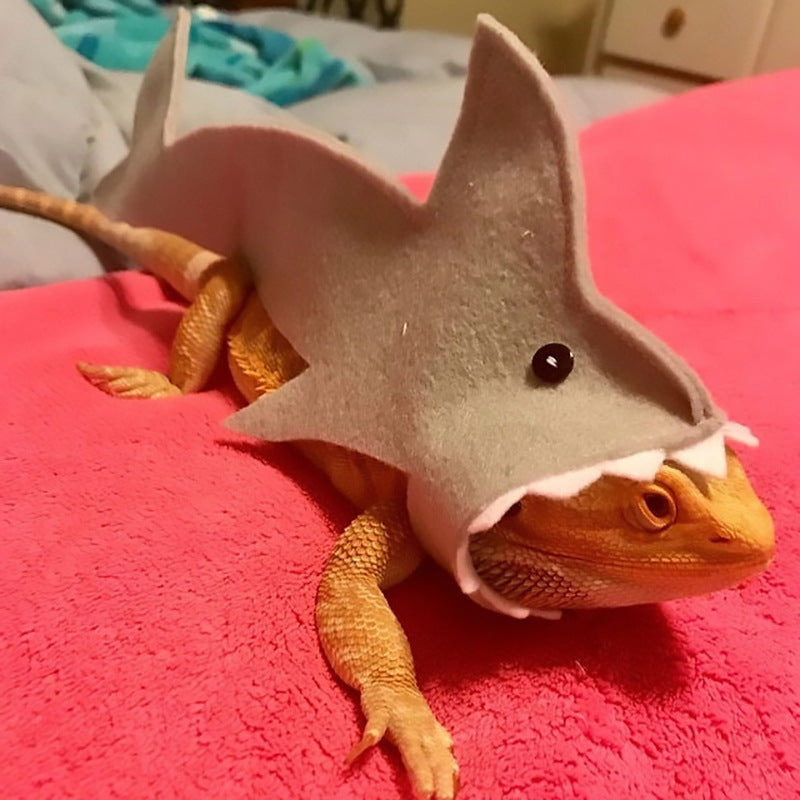 Lizard Felt Cloth Shark Pack Minipet Supplies