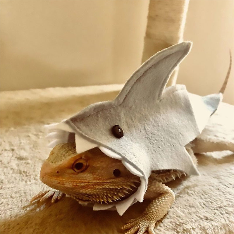 Lizard Felt Cloth Shark Pack Minipet Supplies