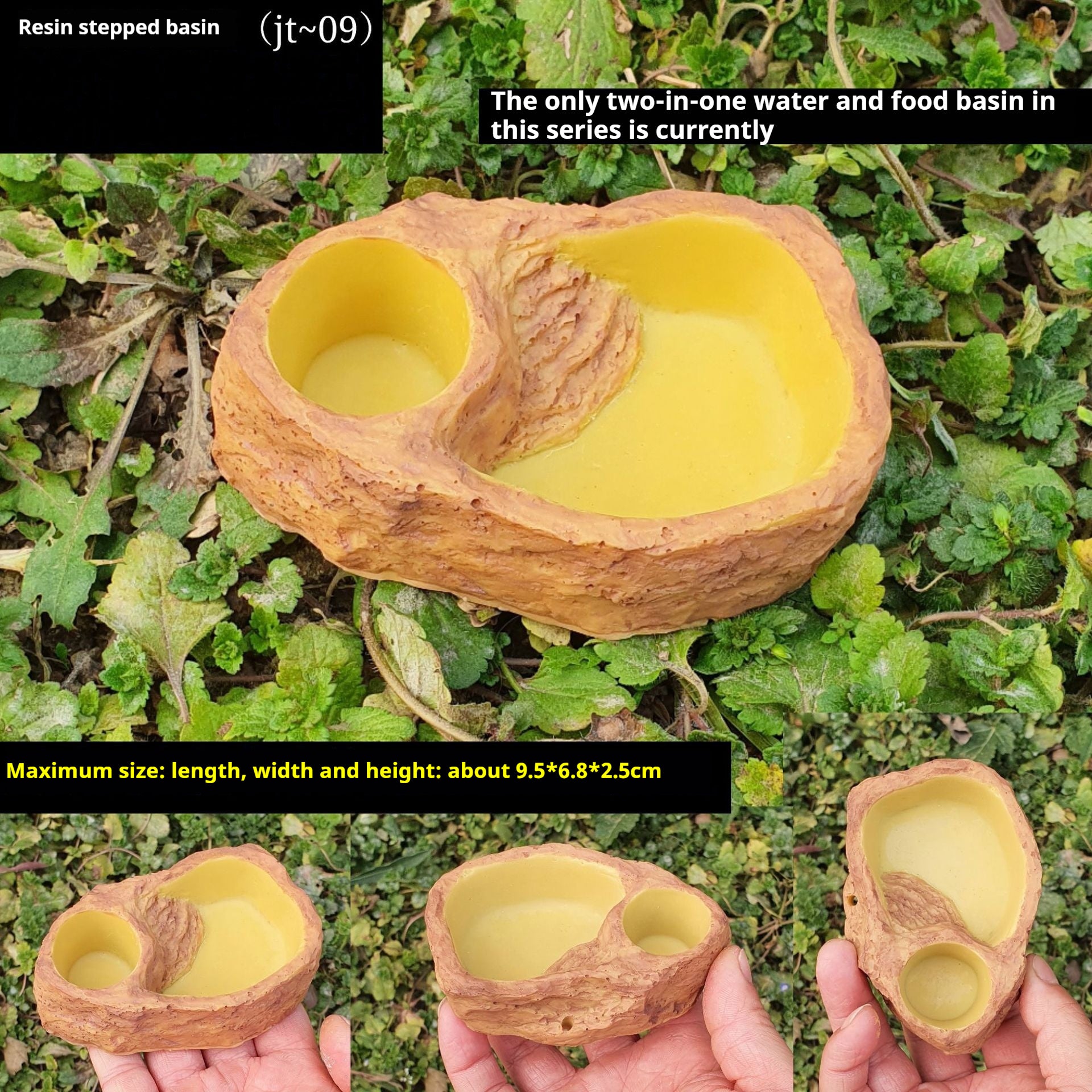 Reptile Drinking Basin