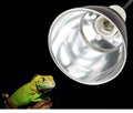 Pet Heating Lamp