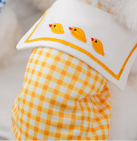 Picnic Pup Shirts for Small and Medium Dogs